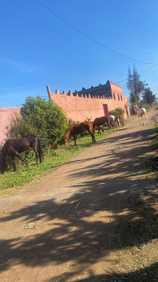 Gite Touristique Yassmine Madagh ภายนอก รูปภาพ